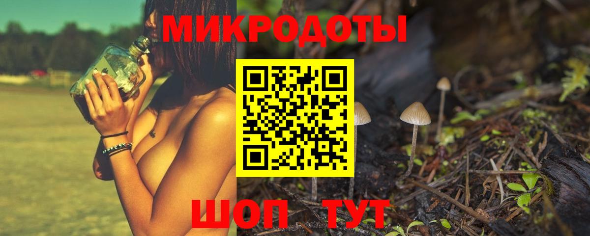 Анапа  Галлюциногенные грибы Psilocybine cubensis  Вход с VPN 